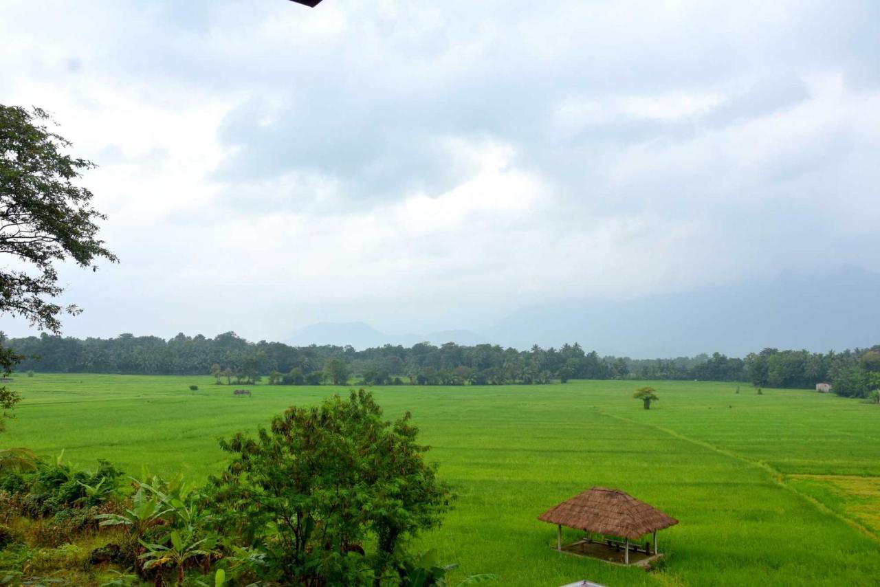 Green Heritage Holiday Resort Mahiyanganaya Exterior photo